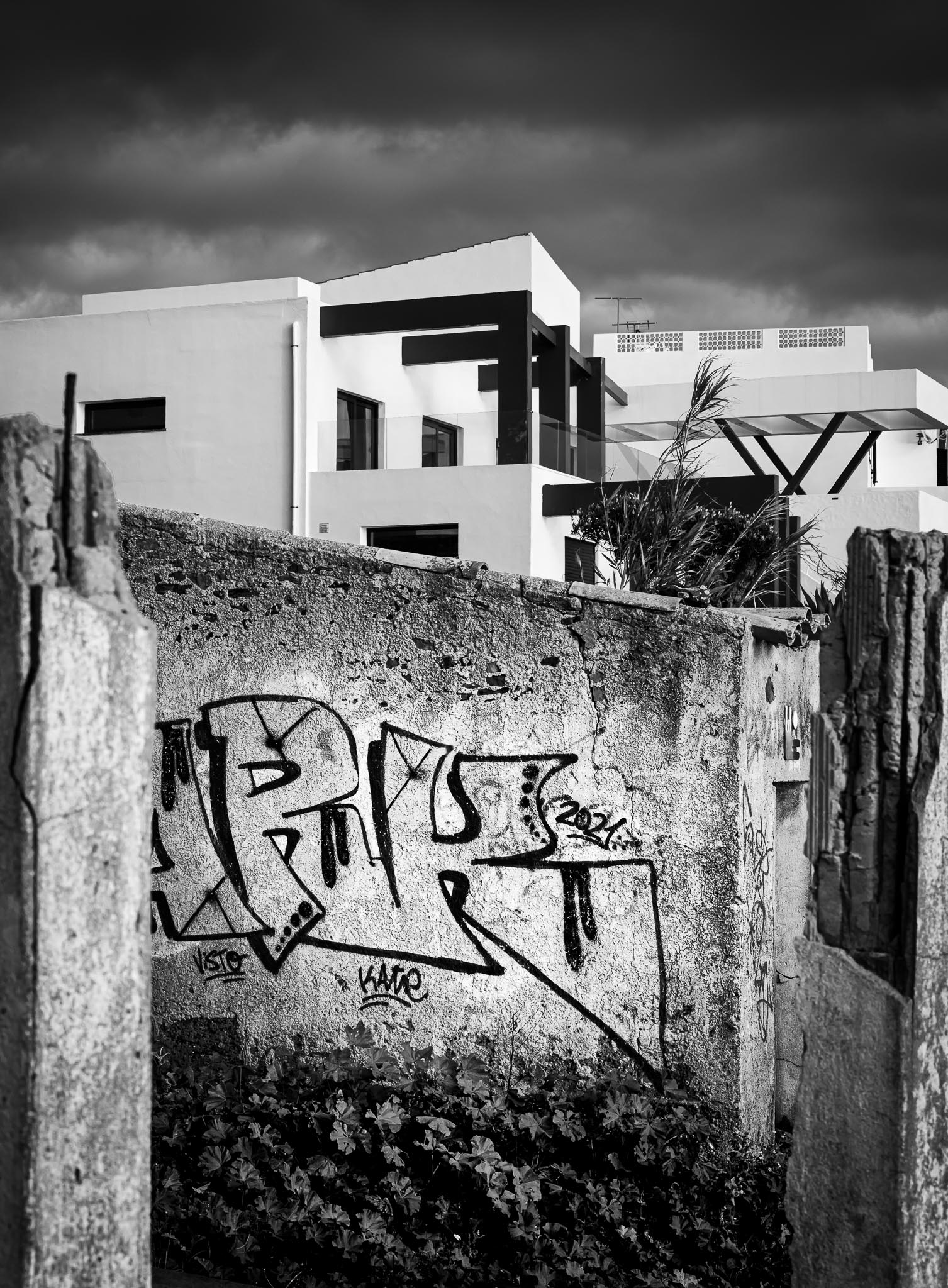 hookedonphotography_nz80374